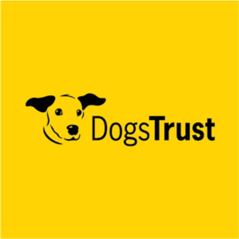 Dogs Trust | Case Study